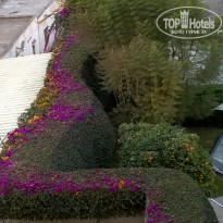 фото из отзыва ID 882140