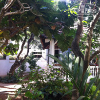 фото из отзыва ID 882255