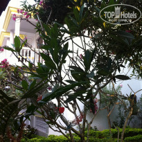 фото из отзыва ID 882255