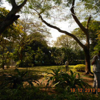 фото из отзыва ID 882287