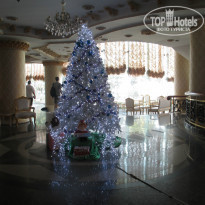 фото из отзыва ID 882376