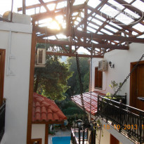 фото из отзыва ID 882406