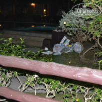 фото из отзыва ID 882197