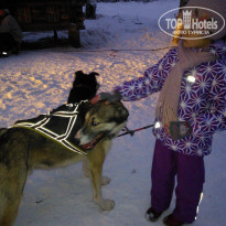 фото из отзыва ID 882527