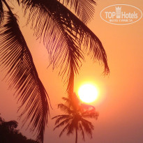 фото из отзыва ID 882925