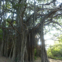 фото из отзыва ID 882949