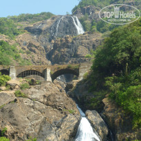 фото из отзыва ID 882949