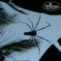 фото из отзыва ID 882949