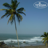 фото из отзыва ID 882949