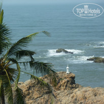 фото из отзыва ID 882949