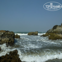 фото из отзыва ID 882949