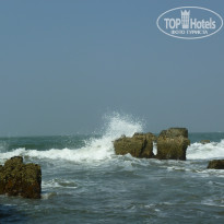 фото из отзыва ID 882949