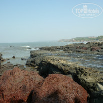 фото из отзыва ID 882949