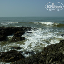 фото из отзыва ID 882949