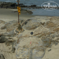 фото из отзыва ID 882949