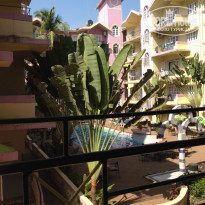 фото из отзыва ID 882971