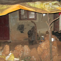 фото из отзыва ID 882971