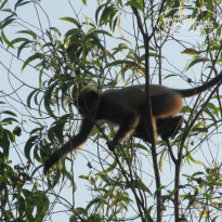 фото из отзыва ID 882971