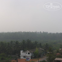 фото из отзыва ID 882023