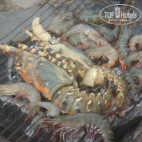 фото из отзыва ID 882727