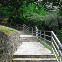 фото из отзыва ID 88319