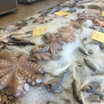 фото из отзыва ID 883069