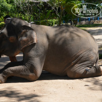 фото из отзыва ID 883357