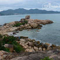 фото из отзыва ID 883357