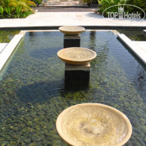 фото из отзыва ID 883407