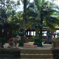 фото из отзыва ID 883542