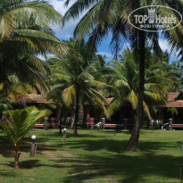 фото из отзыва ID 883542