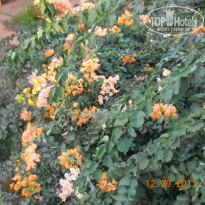 фото из отзыва ID 883874