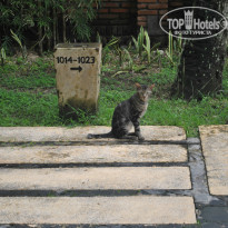 фото из отзыва ID 883901