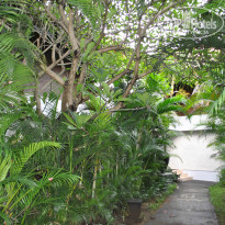 фото из отзыва ID 883901