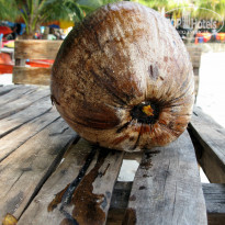 фото из отзыва ID 883889