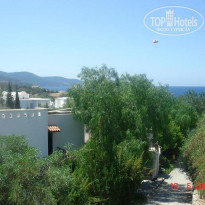 фото из отзыва ID 88475