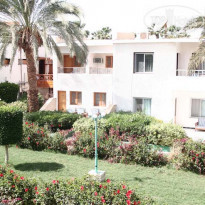 фото из отзыва ID 88494