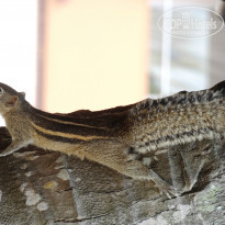 фото из отзыва ID 884016