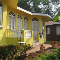 фото из отзыва ID 884026