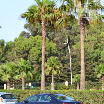 фото из отзыва ID 884082