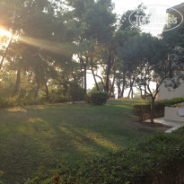 фото из отзыва ID 884085