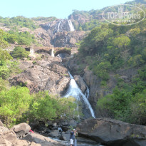 фото из отзыва ID 884116