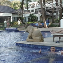 фото из отзыва ID 884126