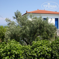 фото из отзыва ID 884233