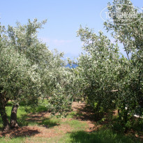 фото из отзыва ID 884233