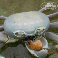 фото из отзыва ID 884242