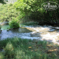 фото из отзыва ID 884387