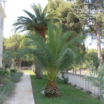 фото из отзыва ID 884387