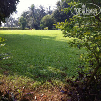 фото из отзыва ID 884427