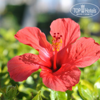 фото из отзыва ID 884441